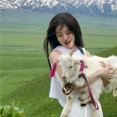 侨女日记封面